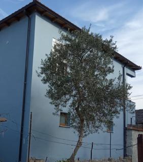 Blue Wave House - Valona - 6