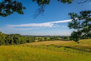 Abberley Shepherds Hut - Ockeridge Rural Retreats - Wichenford - 9