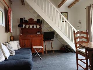 Les vieux platanes - Rouillac - 1