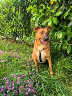 Casa Anna - piano T e giardino - 7