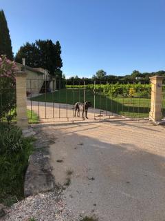 Le Pesquier - Roquemaure - 5