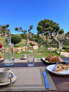 Alba in vigna Bed and Breakfast - Laureana Cilento - 9