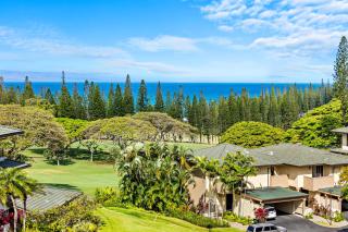 Kapalua Golf Villa 20V 1 - Kahana - 6