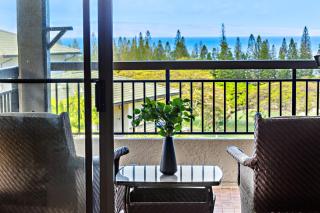 Kapalua Golf Villa 20V 1 - 3