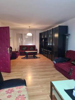 Apartman dragana - Bela Crkva - 5