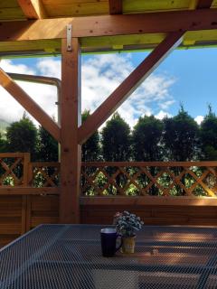 Landhaus Irena - Familienfreundliches Ferienhaus an der Zillerpromenade mit Bergblick - 4