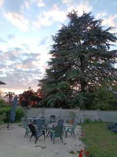 Maison 6 couchages avec jardin au coeur des châteaux de la Loire - Vineuil - 9