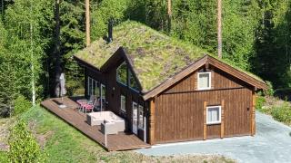Holiday cabin in beautiful surroundings - Vrådal - 1