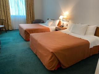 Hotel Diego de Almagro Aeropuerto - Santiago - 9
