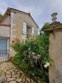 Les vieux platanes - Rouillac - 8