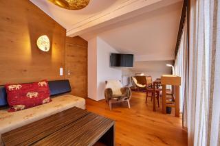 Panorama-Chalet Ernst Baier - 1