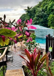 Les Chalets de Afaahiti - Fare Okeani - Afaahiti - 7