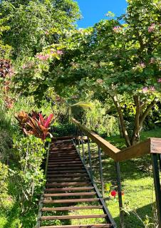 Les Chalets de Afaahiti - Fare Okeani - 6