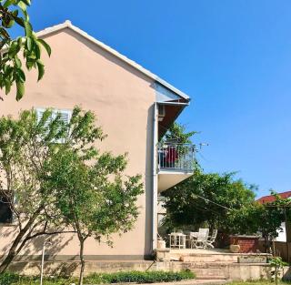 Apartments Grgas - Vrsi Mulo - Vrsi - 9