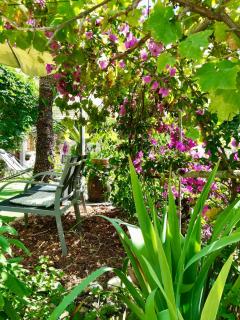 Villa Bellabé - Nice - 9