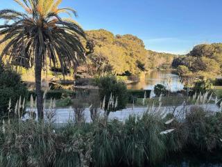 Résidence Rivages - Appartement 2 chambres dans le domaine de la Coudoulière MAE-6121 - Six-Fours-les-Plages - 0