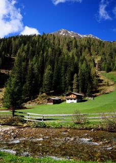 Peintnerhof Almhütte - 3