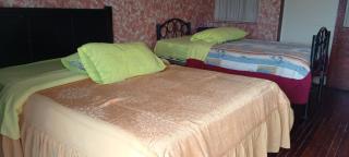 La Perla Cuencana Hostal - Cuenca - 4