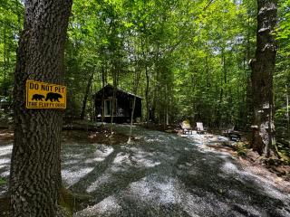 Family Glamping Cabin-Bed and Bear at Valley Bear Farms Resort - 9