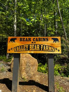 Bed & Bear - Couples Glamping Cabin at Valley Bear Farms Resort - 4