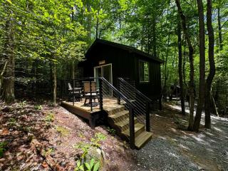 Bearly Behaving 496 - A Cozy Cabin Pisgah Retreat - Balsam Grove - 0