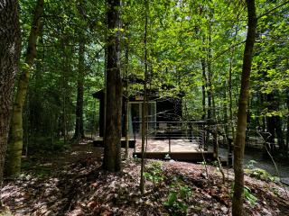 Bearly Behaving 496 - A Cozy Cabin Pisgah Retreat - Balsam Grove - 9
