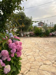 Guesthouse Edison Ksamil - Ksamil - 7