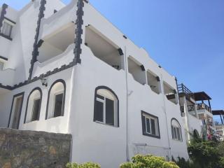 Bargilya Bodrum Yazlık Villa - Milas - 9