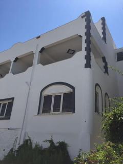 Bargilya Bodrum Yazlık Villa - Milas - 4