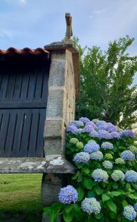 Casa con piscina y barbacoa · Casa O vincular by Easy Life Rent - - 7