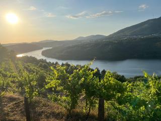 Douro House 222 - Castelo de Paiva - 1
