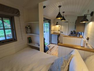 Hut in the Forest - Brockenhurst - 6