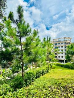 Bristle Ridge Cozy Vacation - 0