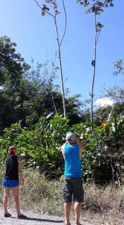 Into the Greens - Madre de Dios - 5