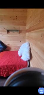 SeaShells Cottage - Cumberland - 8
