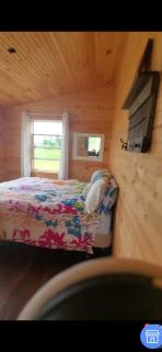 SeaShells Cottage - Cumberland - 7