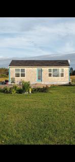 SeaShells Cottage - Cumberland - 3