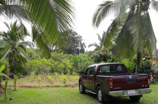 Into the Greens - Madre de Dios - 4