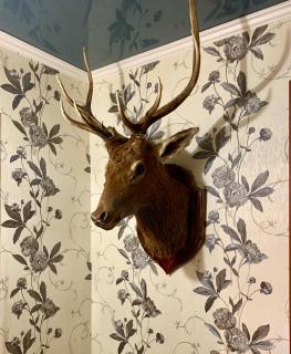 Квартира Комфорт - 3