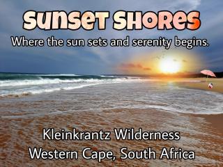 Sunset Shores - Wilderness - 4