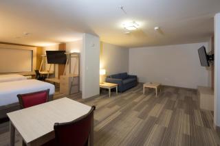 Holiday Inn Express & Suites Port Huron by IHG - 9