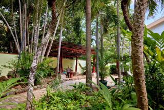 Casa Corona Del Mar Tamarindo - 2