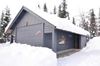 Aikku cabin in the heart of Lapland, free Lapin Kota, Budget week - Ylläs - 3