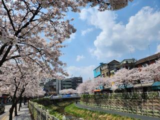staysamsun - Seul - 5