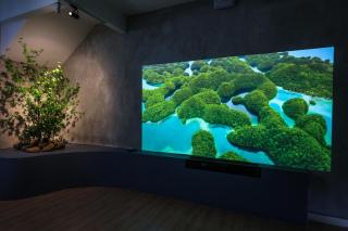 35 Cozy Homestay with projector Pool BBQ evcharger - Ipoh - 5