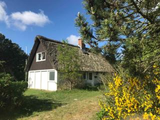 Lovely Summer House On The Island Of Rømø - Kongsmark - 9