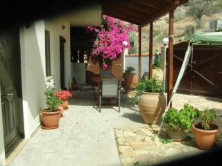 Artemis Appartments - Pitsidia - 0