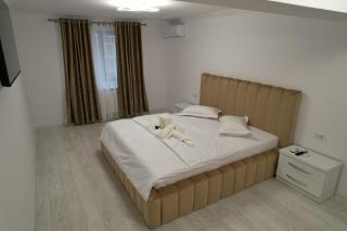 Apartament Cosmi Ari - Băile Herculane - 3