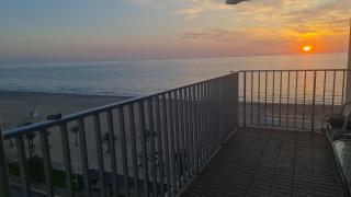 Primera línea Gandia Solo familias - Gandía - 3