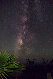 Villa Awara by Rural La Palma - El Pinillo - 7